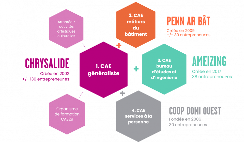 Schéma des organismes de la CAE 29.